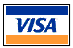 VISA Credit Card Image